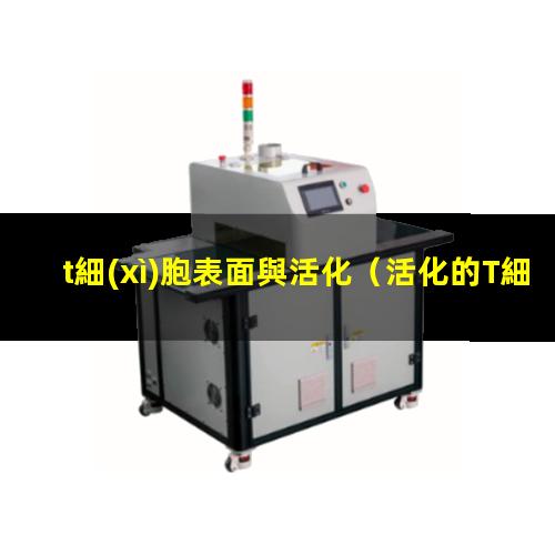 t細(xì)胞表面與活化