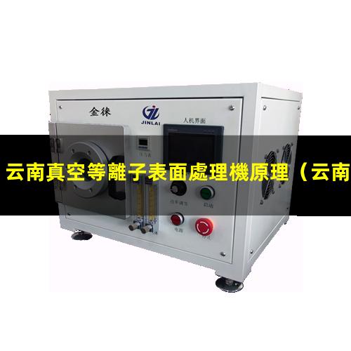 云南真空等離子表面處理機原理