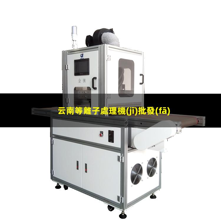 云南等離子處理機(jī)批發(fā)