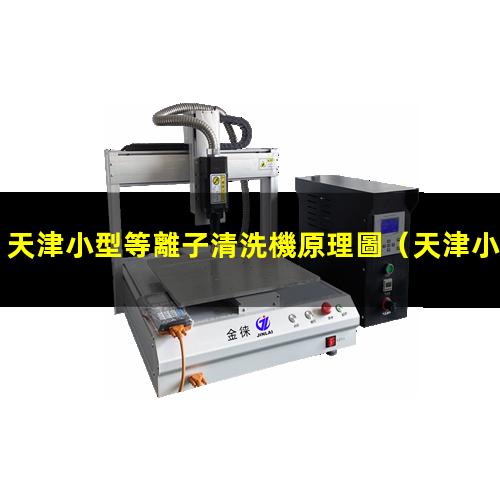 天津小型等離子清洗機原理圖