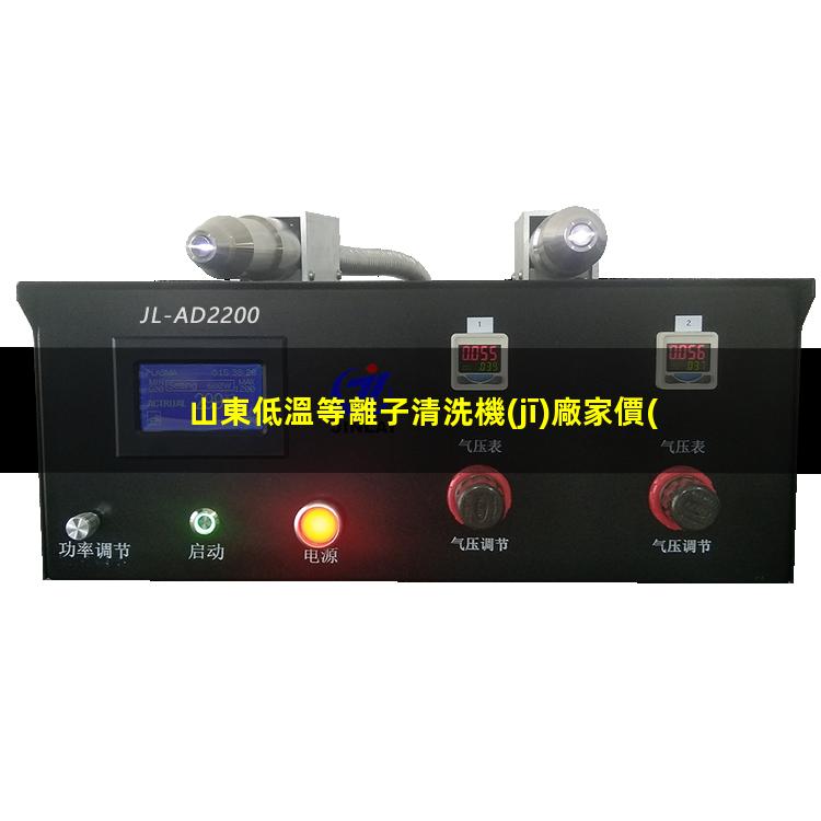 山東低溫等離子清洗機(jī)廠家價(jià)格