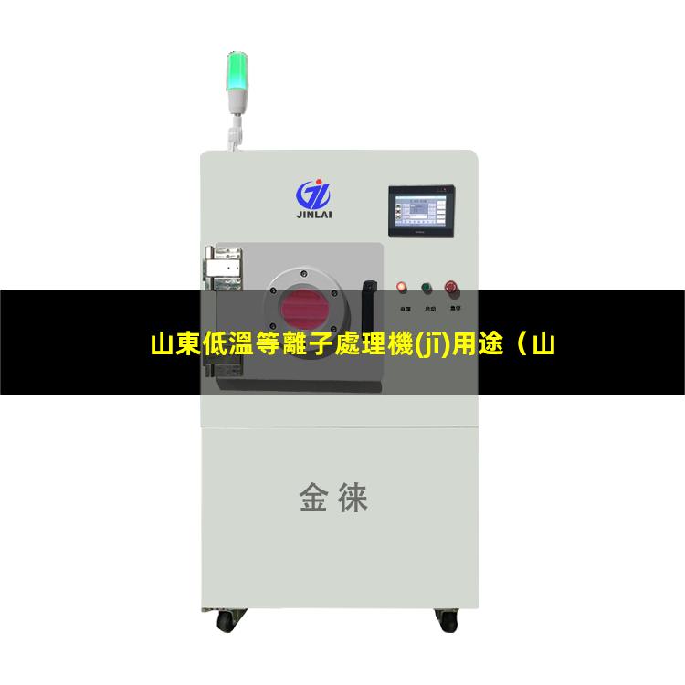 山東低溫等離子處理機(jī)用途