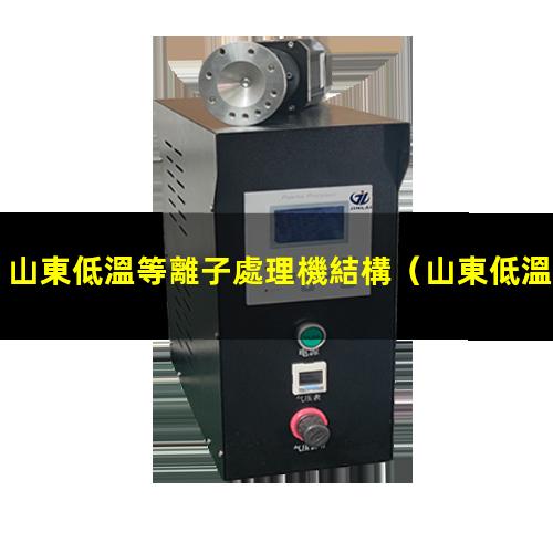 山東低溫等離子處理機結構