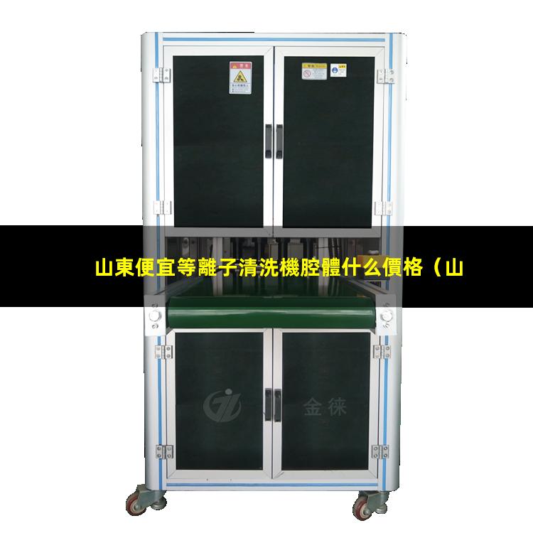 山東便宜等離子清洗機腔體什么價格