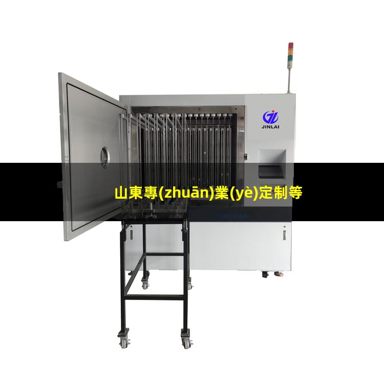 山東專(zhuān)業(yè)定制等離子清洗機(jī)腔體量大從優(yōu)