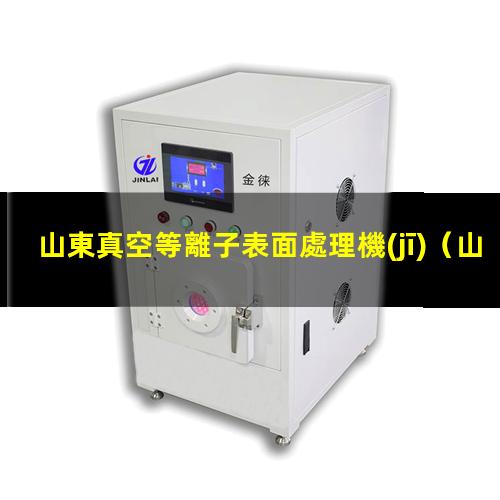 山東真空等離子表面處理機(jī)
