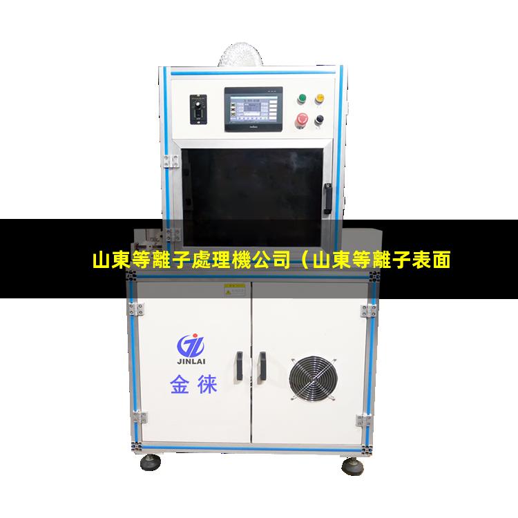 山東等離子處理機公司