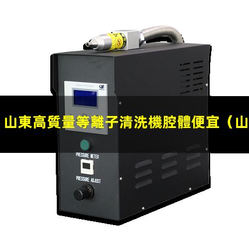 山東高質量等離子清洗機腔體便宜
