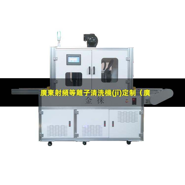 廣東射頻等離子清洗機(jī)定制