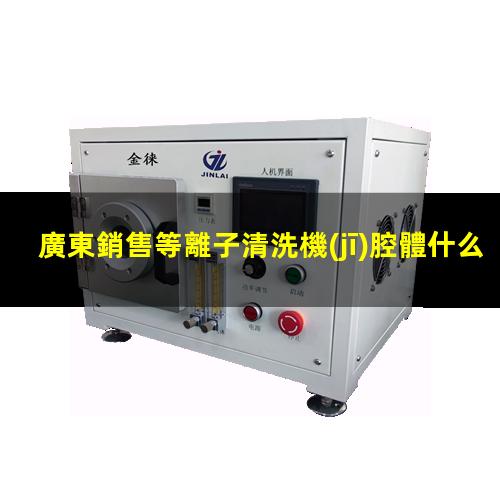 廣東銷售等離子清洗機(jī)腔體什么價(jià)格