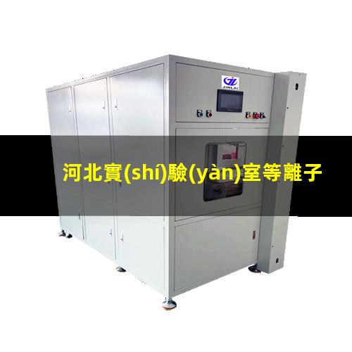 河北實(shí)驗(yàn)室等離子清洗機(jī)哪家好