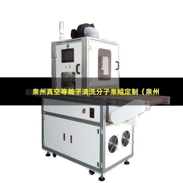 泉州真空等離子清洗分子泵組定制