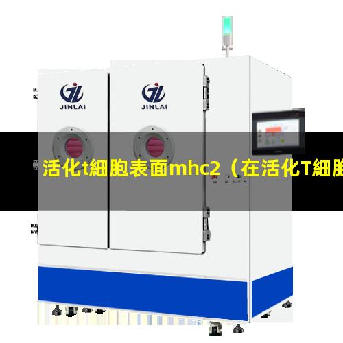 活化t細胞表面mhc2