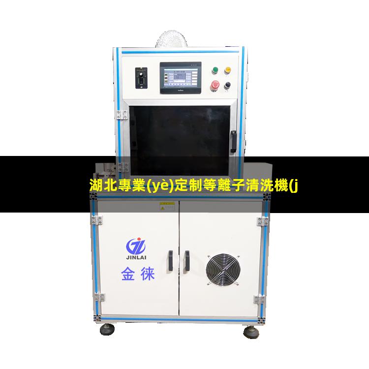 湖北專業(yè)定制等離子清洗機(jī)腔體制造廠家