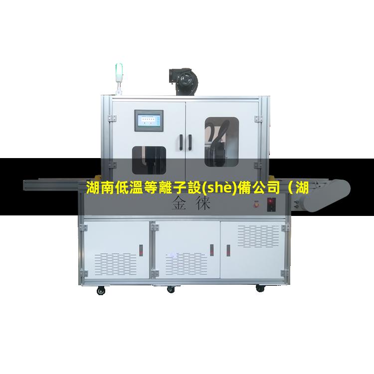 湖南低溫等離子設(shè)備公司