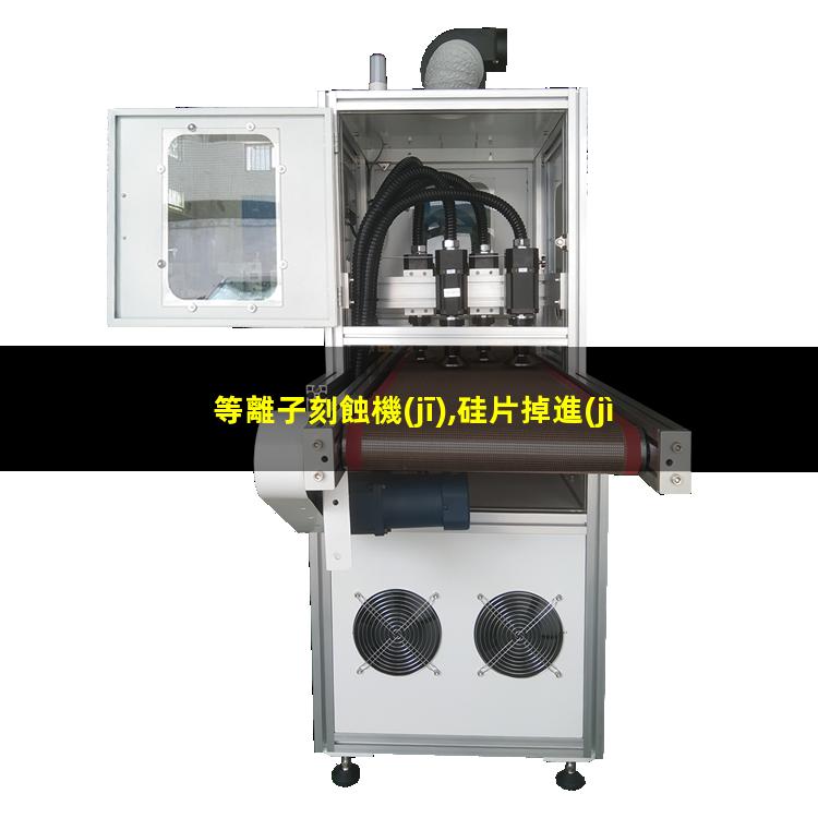 等離子刻蝕機(jī),硅片掉進(jìn)去怎么辦