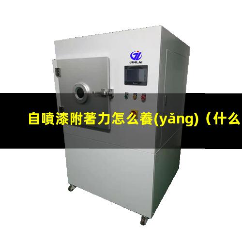自噴漆附著力怎么養(yǎng)