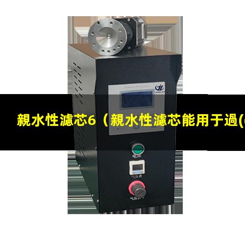 親水性濾芯6