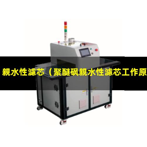 親水性濾芯