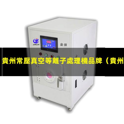 貴州常壓真空等離子處理機品牌