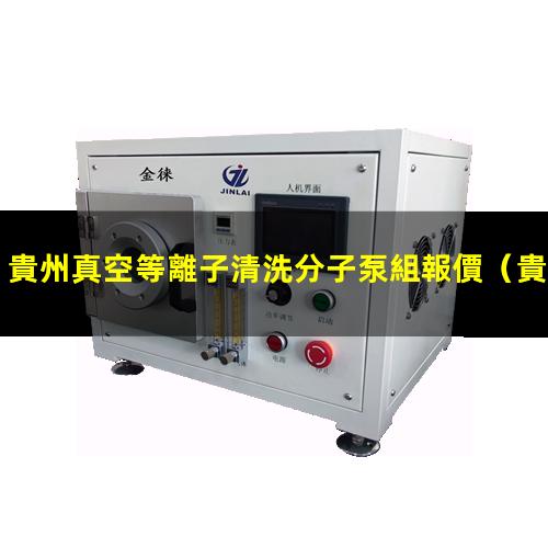 貴州真空等離子清洗分子泵組報價
