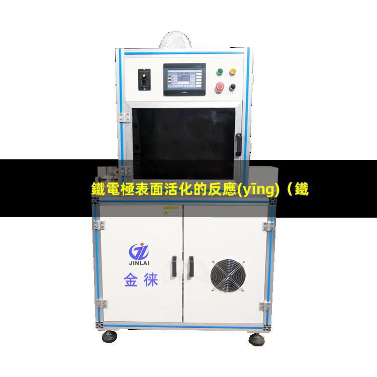 鐵電極表面活化的反應(yīng)