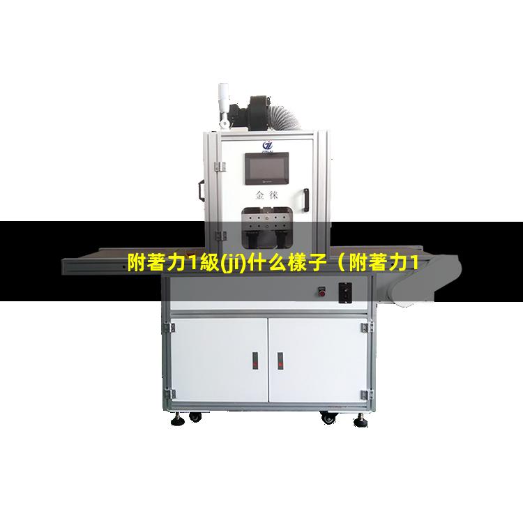 附著力1級(jí)什么樣子