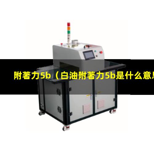 附著力5b