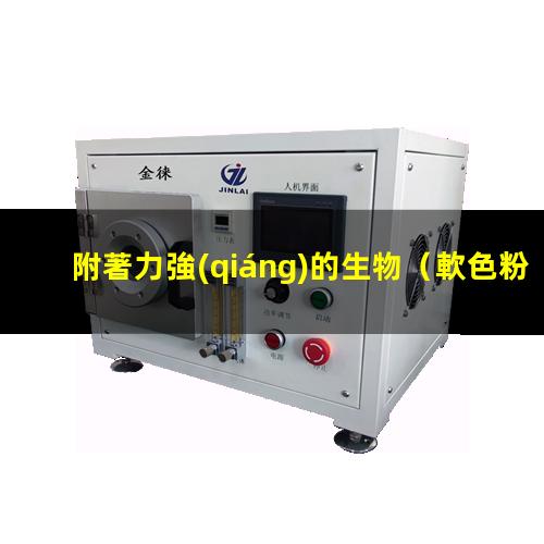 附著力強(qiáng)的生物