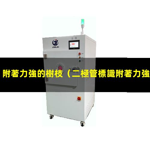 附著力強的樹枝