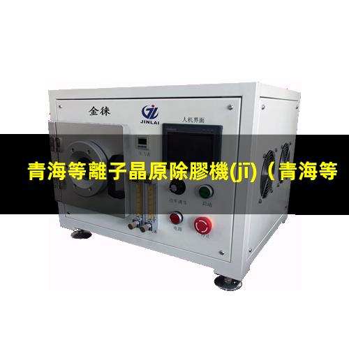 青海等離子晶原除膠機(jī)