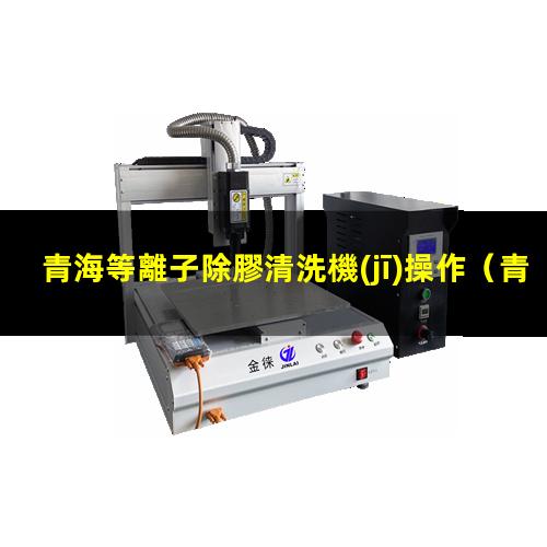 青海等離子除膠清洗機(jī)操作